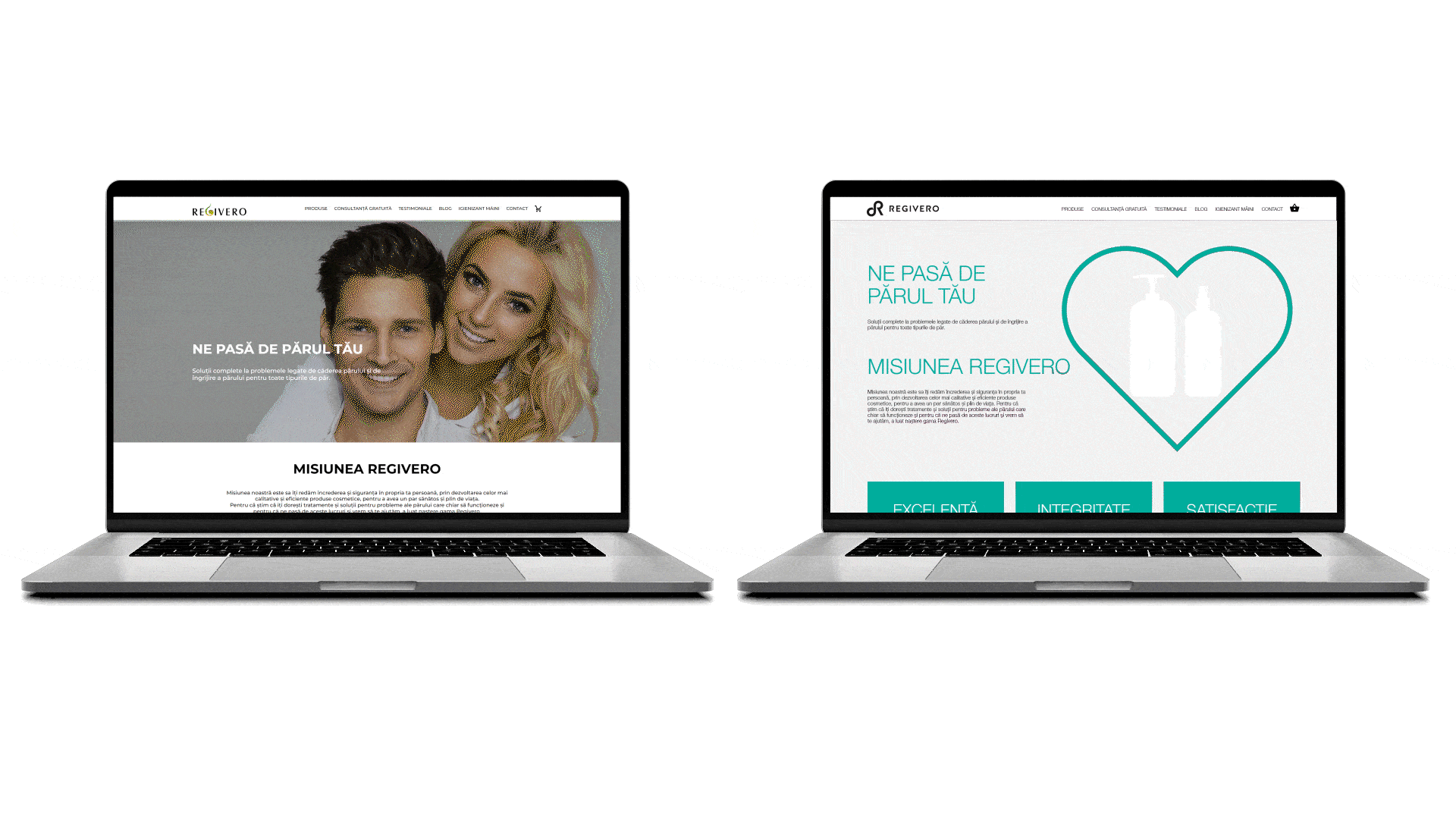 portofoliu_regivero_compressed_despre-noi logo how to sell