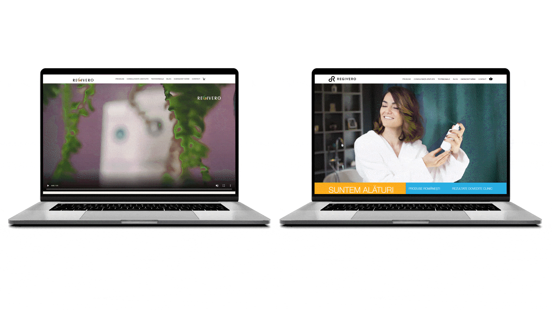 portofoliu_regivero_compressed_homepage logo how to sell